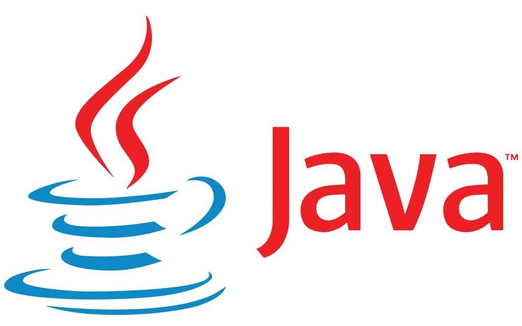 brief history of java language